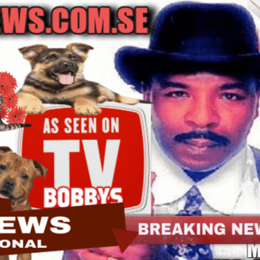 MR NEWS MUSIC RADIO NEWS