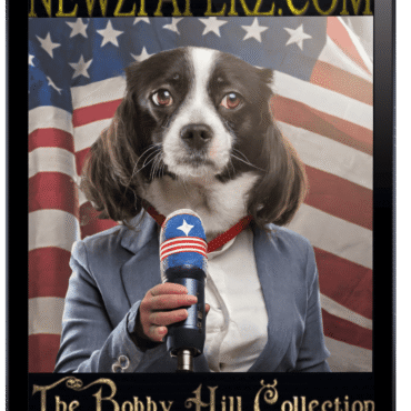 MR-NEWS-RADIO-NEWSPAPER-NEWS-DAILY-DOG-NEWS