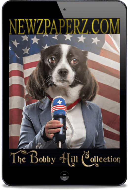 MR-NEWS-RADIO-NEWSPAPER-NEWS-DAILY-DOG-NEWS